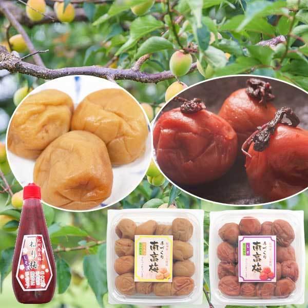 Ԃ~ ݂͂  500g e1pbN v1kg 8-10% + IB썂~ ~1{  180g Zbg a̎RY  ~ 󂠂