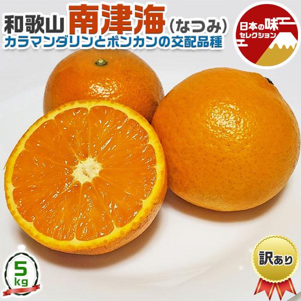 和歌山 南津海 5kg 訳ありなつみ みかん 2S-Lサイズ混合 農園 生産者