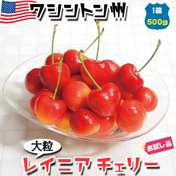 アメリカンチェリー レーニアチェリー レイニア 大粒 500g