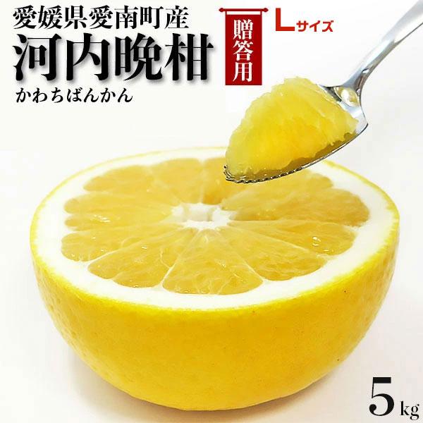 愛媛 河内晩柑 5kg Lサイズ指定 秀品 ギフト用 宇和ゴールド同品種 かわちばんかん 愛媛県愛南町産 柑橘みかん 果物 フルーツ 贈答用ギフトにも