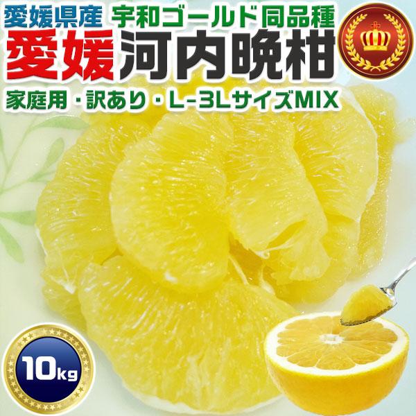愛媛 河内晩柑 10kg 訳あり L〜3Lサイズ混合(バラ詰め) 宇和ゴールド同品種 8月以降見た目が悪くなります 柑橘みかん 家族向けギフトにも