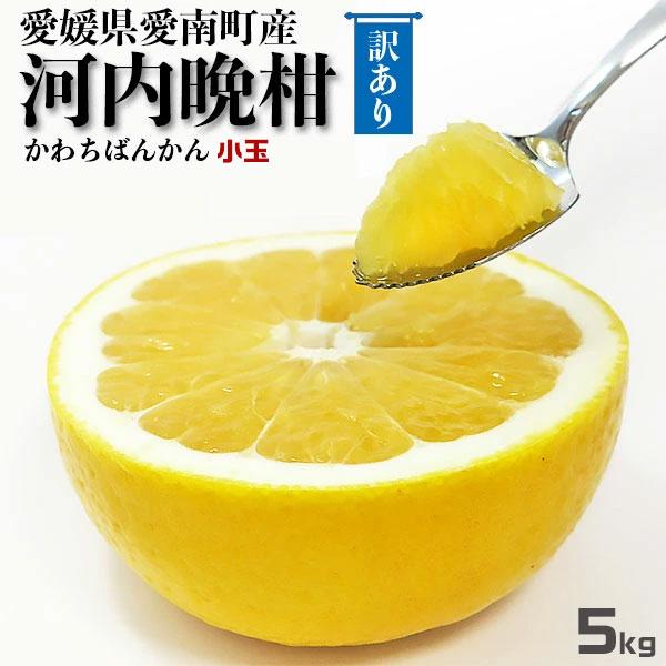 河内晩柑 小玉 5kg 訳あり 宇和ゴールド 同品種 愛媛 県愛南町産 2S〜Mサイズ混合 柑橘みかん 果物 フルーツ 家族向けギフトにも