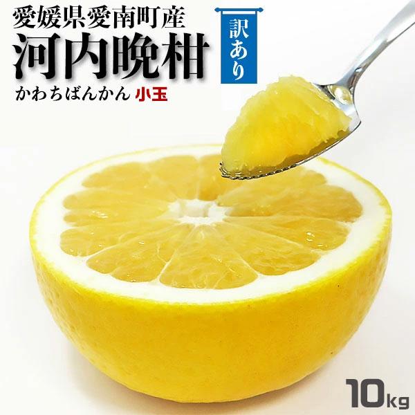 河内晩柑 小玉 10kg 訳あり 宇和ゴールド 同品種 愛媛 県愛南町産 2S〜Mサイズ混合 柑橘みかん 果物 フルーツ 家族向けギフトにも