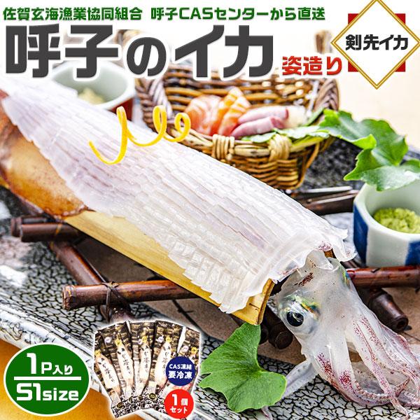旅サラダで紹介 呼子のイカ 呼子 剣先いか 姿造り(S1サイズ 旅サラダで紹介 呼子のイカ 呼子 剣先いか 姿造り(S1サイズ