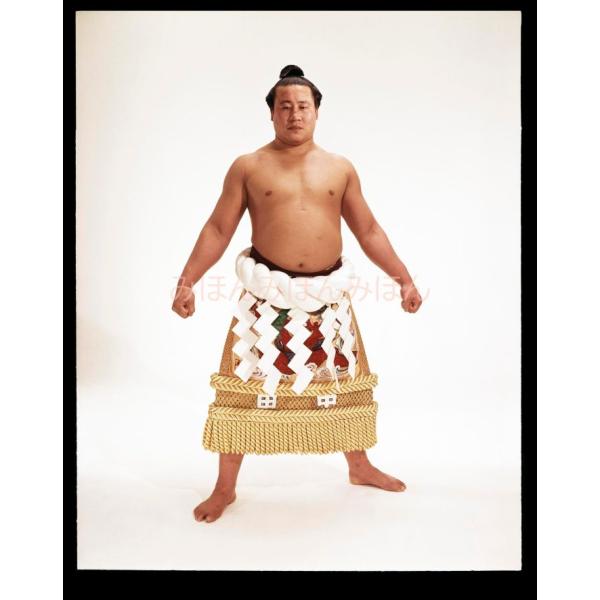 佐田の山晋松関 優勝ミニ額 大相撲ミニ額 大相撲優勝額 昭和４０年５月場所 優勝 横綱 佐田の山晋松関（４回目の優勝）