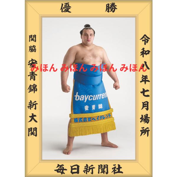 安青錦 新大 関 優勝ミニ額 大相撲 ミニ額 大相撲 優勝額 令和８（２０２６）年７月場所 優勝 関脇 安青錦 関（３回目）