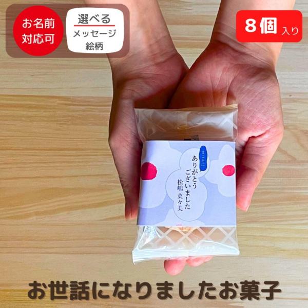 退職 転職 異動 お世話になりました お菓子 のし巻き済 ありがし ガトーセレクション フィナンシェ + ダックワーズ 8個入り爆買 | プチギフト 個...