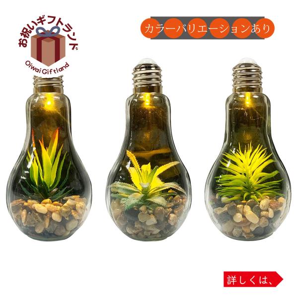 テラリウム ライトの人気商品 通販 価格比較 価格 Com