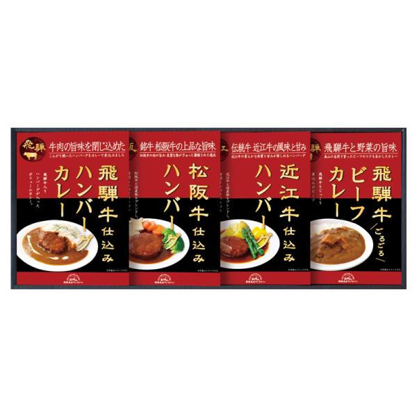 飛騨高山ファクトリー松阪牛・近江牛・飛騨牛仕込みハンバーグ&amp;カレー詰合せ｜のし 包装 無料 ギフト 内祝 香典返し 返礼品 お中元 お歳暮