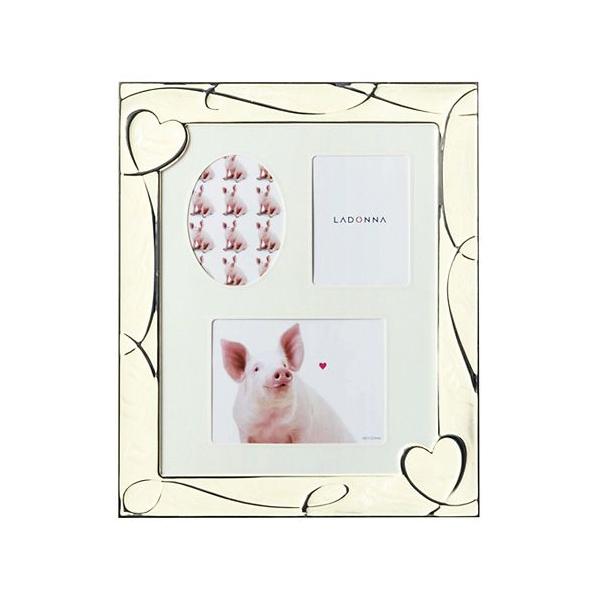 sbOn[g / tHgt[ v[g a 蕨 LOi ސEj ʐ^