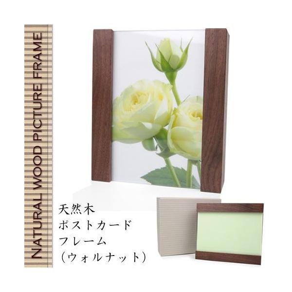 VR / |XgJ[ht[ / EHibg v[g a 蕨 LOi ސEj ʐ^