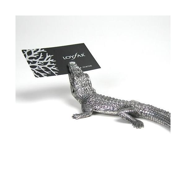 ( Loyfar Ct@[ / nhNtg / s[^[ ) J[hz_[ / NR_C v[g a 蕨 LOi [ G