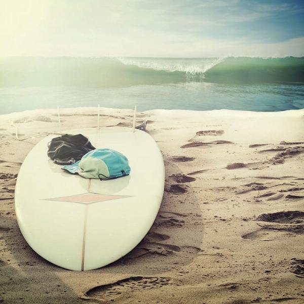 ( A[gpl ) Petit Canvas Art T[t{[h 300x300mm |X^[ A[g CeA 蕨