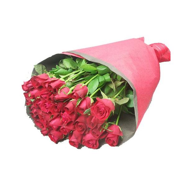 ( t[Mtg ) ỏԑ / 50{ /  j LO  v[g KN ΂