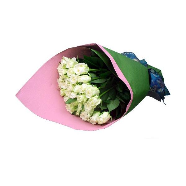 ( t[Mtg ) ỏԑ / 50{ /  j LO  v[g KN ΂