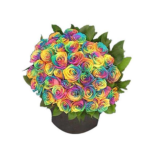 ( t[Mtg ) ỏԑ / 35{ / C{[ j LO  v[g KN ΂