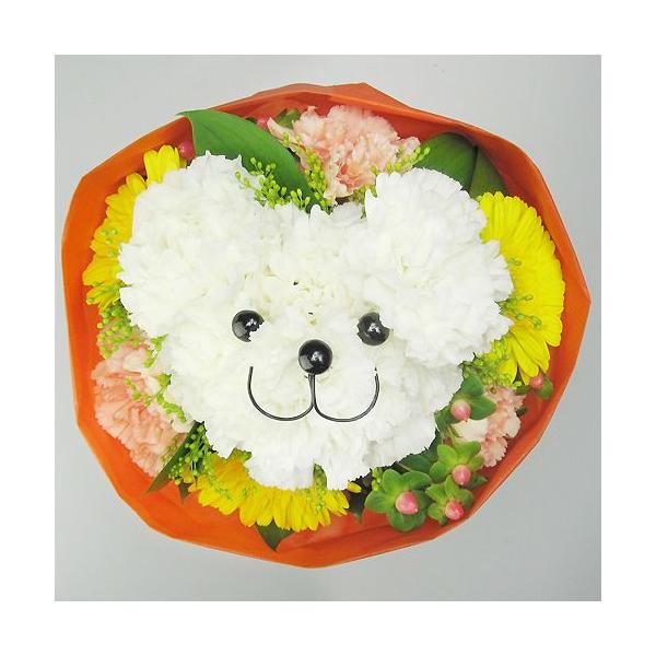 ( t[Mtg ) AW / N}̉ԑ (  ) j LO  v[g  a