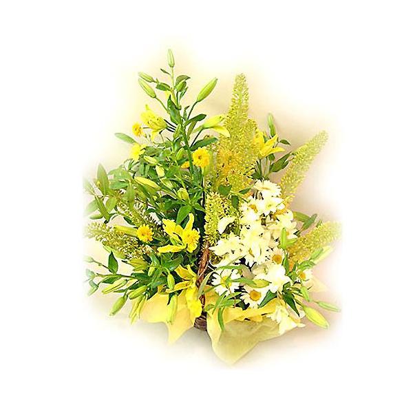 ( t[Mtg ) jAW / nslX ( L ) j LO  v[g