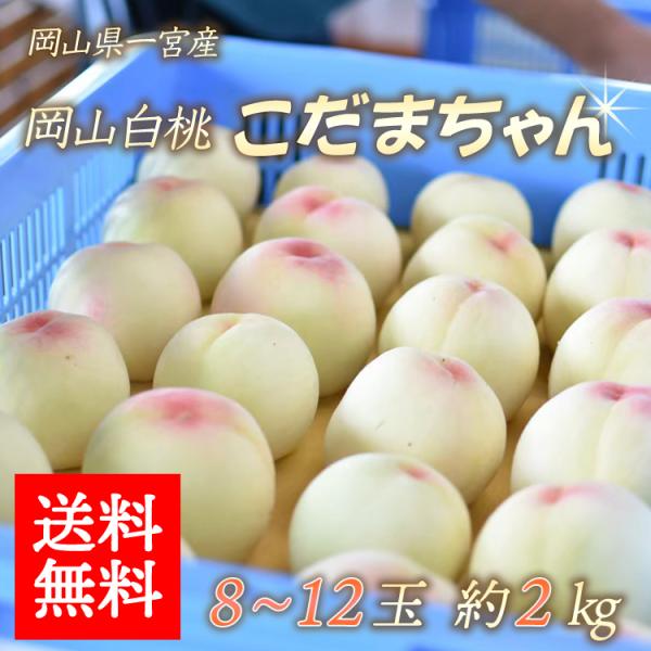 白桃 岡山 みんな探してる人気モノ 白桃 岡山 食品