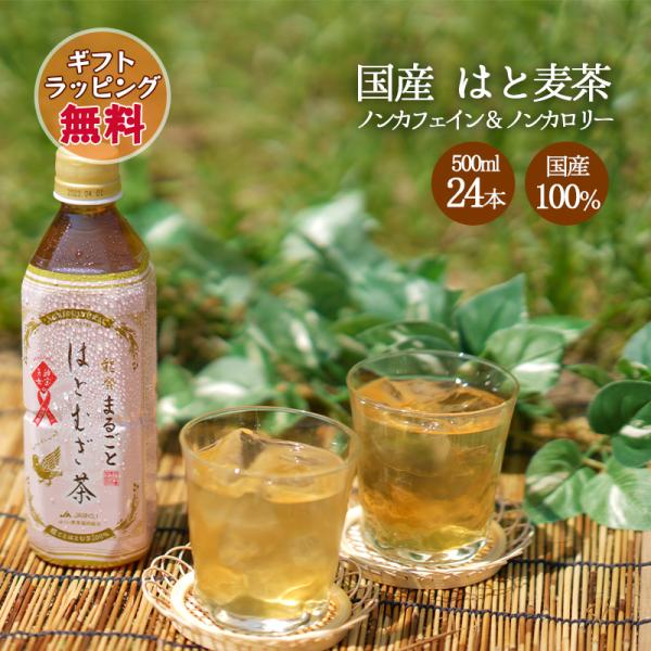 ギフト お茶 はと麦茶 はとむぎ茶 ペットボトル 500ml 24本 JAはくい