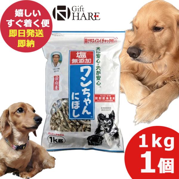 塩無添加 ワンちゃんにぼし 1kg (即日発送) 送料無料【 おやつ ペット 犬 猫 にぼし ドッグフード 】【_