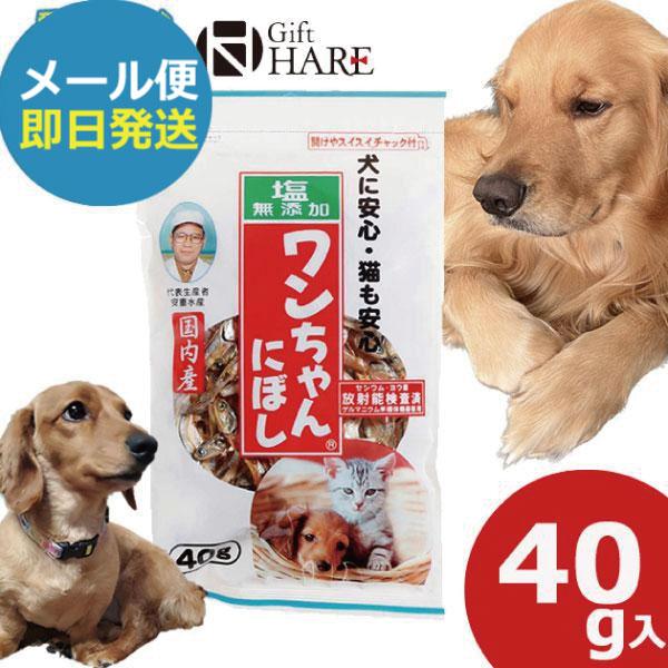 塩無添加 ワンちゃんにぼし 40g 1個 (即日発送) 送料無料 (メール便)【 おやつ ペット 犬 猫 にぼし ドッグフード 】_