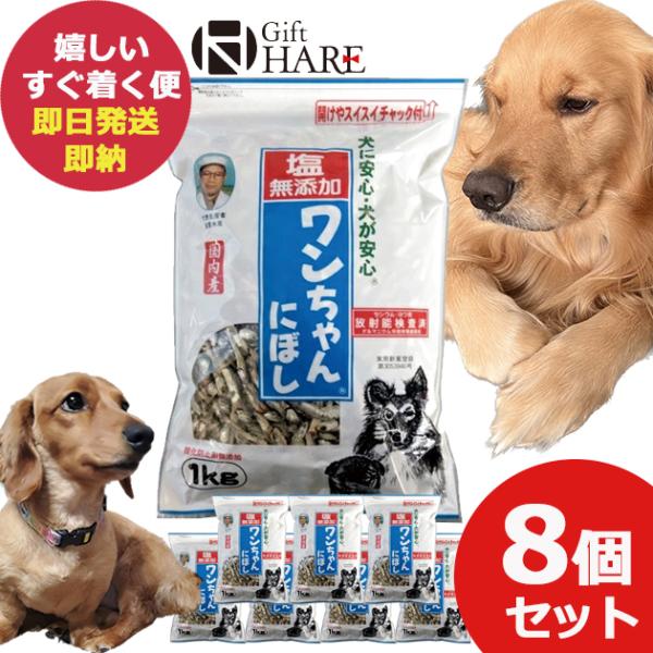 塩無添加 ワンちゃんにぼし 1kg 8個セット (即日発送) 送料無料【 おやつ ペット 犬 猫 にぼし ドッグフード 】【_