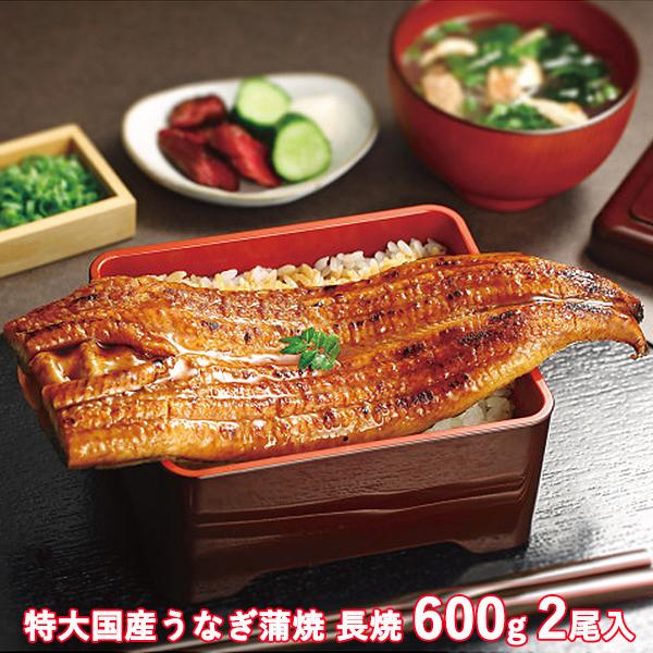 【商品内容】●長蒲焼×2(計600g)(うなぎ：九州産・真空個包装)、山椒付タレ15g×4●アレルゲン： 小麦 大豆●原産国：日本●化粧箱入●箱サイズ：40.0×14.0×5.5cm●箱重量：900.0g●宅配温度区分：冷凍●賞味期限：(製...