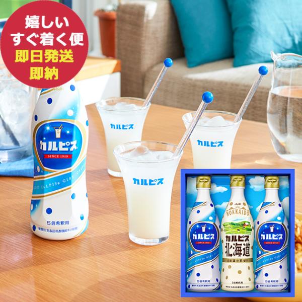 カルピス ギフトセット 3本 CN15P (即日発送) 送料無料 【 乳酸菌 ドリンク ジュース カルピス アソート 】【_