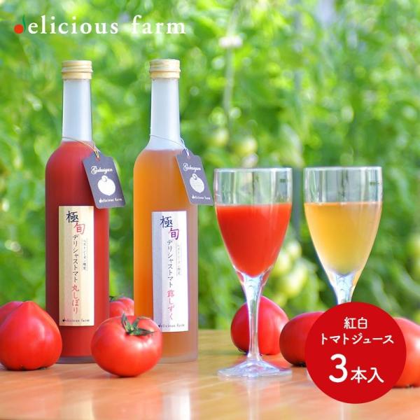 Ε 2025 hN fVXt@[ fVXg}g ɏ{ g}gW[X g3{ Zbg x10xȏ ۂڂ I  DFGT-3 Ε