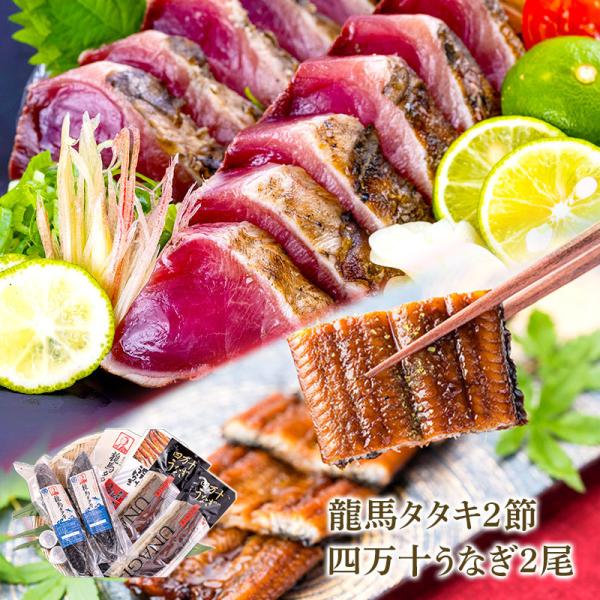 釣り仕掛け 鰹 - レトルト・惣菜の人気商品・通販・価格比較 - 価格.com