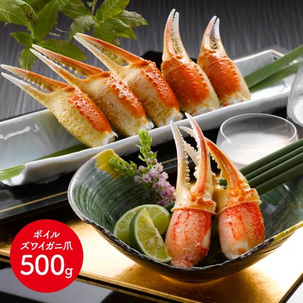 Ε 2025 {CYCKj 500g  킢 Jj I  I yY j lߍ 񂹃O Mtg  SK1167 Ε