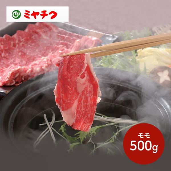 Ε 2025 {苍 Ԃ Ԑg  ~ VuVu  yY j lߍ Hi Mtg v[g  SK1334 Ε