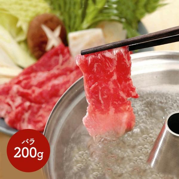 Ε 2025 {苍 Ԃ Ԑg o ~ VuVu  yY j lߍ Hi Mtg v[g  SK1335 Ε