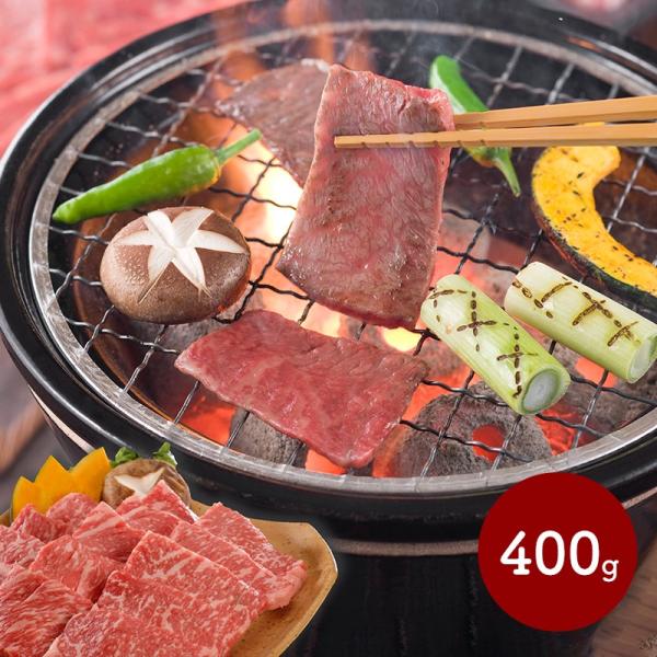 Ε 2025 T _˃r[tē  400g  Y j lߍ 񂹃O Hi  Mtg v[g  SK134 Ε