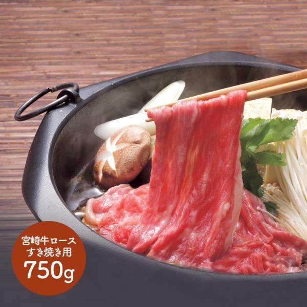 Ε 2025 {苍 [XĂp Ԑg [X ~ ₫ XLL  j lߍ Hi v[g  SK1340 Ε