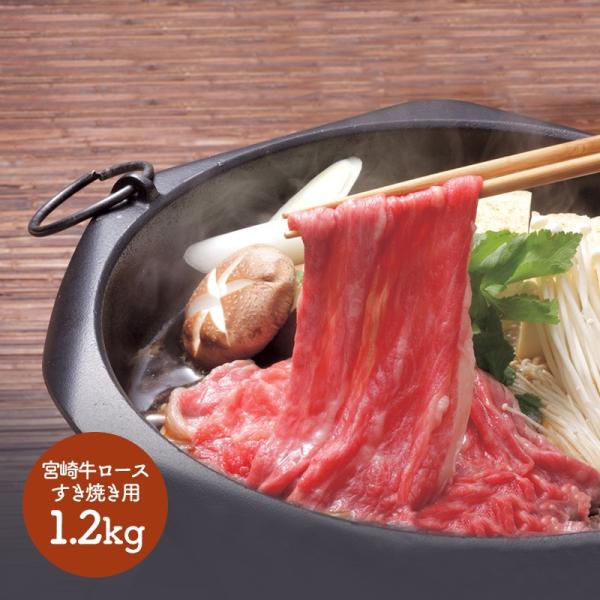 Ε 2025 {苍 [XĂp Ԑg [X ~ ₫ XLL  j lߍ Hi v[g  SK1343 Ε