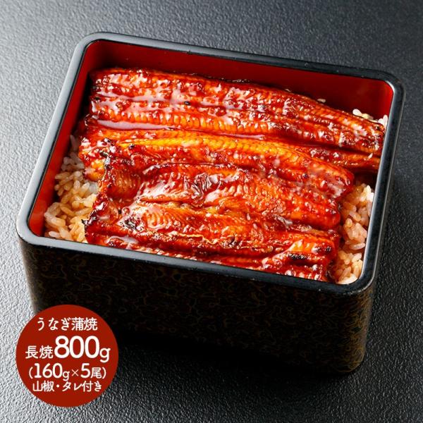 Ε 2025 YҌ {茧YȂ 800g 160g×5 ^t Y V EiM Ă y  j Mtg  SK1483 Ε