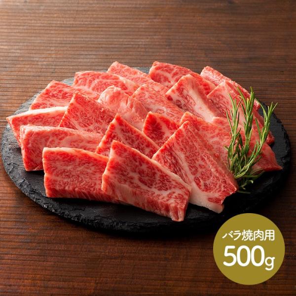 Ε 2025 F{ tW`N ʋ oēp 500g  Jr  Y yY j lߍ  Hi Mtg  SK1596 Ε