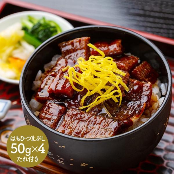 Ε 2025  ጎ ͂Ђ܂Ԃ 50g×4 v200g ^t  n CN Ă yY j lߍ Hi Mtg  SK1600 Ε