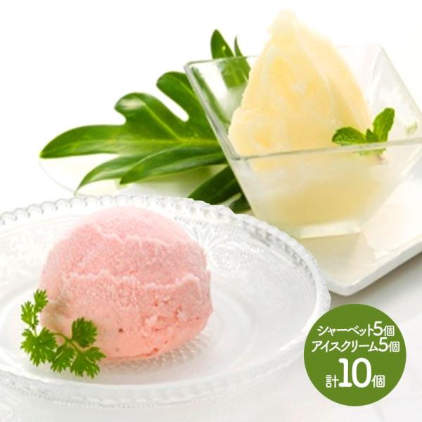 Ε 2025 XC[c V  N`GV[xbg zP ACXN[ lߍ킹 v10 ACX V[xbg   m Mtg SK1805 Ε