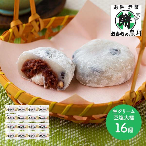 Ε 2025 XC[c R 吳9NnƂ̍쓤啟 16 aَq 啟  oY  Cj 蕨 Mtg  SK2016 Ε