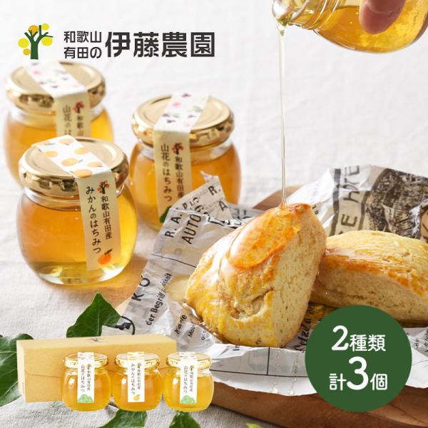 Ε 2025 a̎R ɓ_ Lĉ݂񁕎RԂ݂̂͂ RԂ݂̂͂ ݂݂̂͂   I n`~c  SK2247 Ε