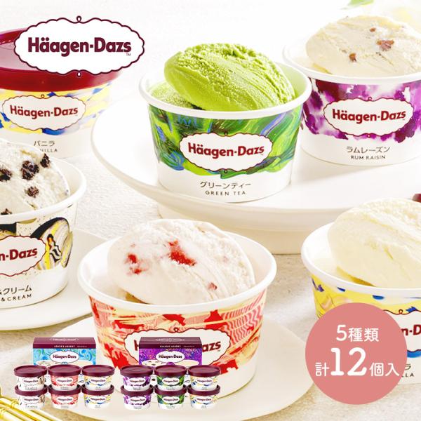 敬老の日 2026 アイス ハーゲンダッツ アソートバラエティ 5種 12個 スイーツ バニラ ストロベリー ラムレーズン 送料無料 SK2729