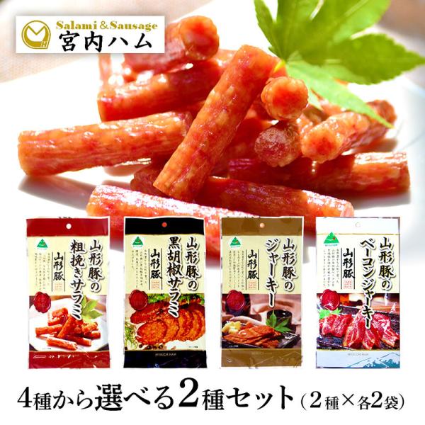 [ {n R`؃V[Y A\[gZbg Iׂ2Zbg(v4) T~ W[L[ ܂ JpX  SK2MIYAHAM