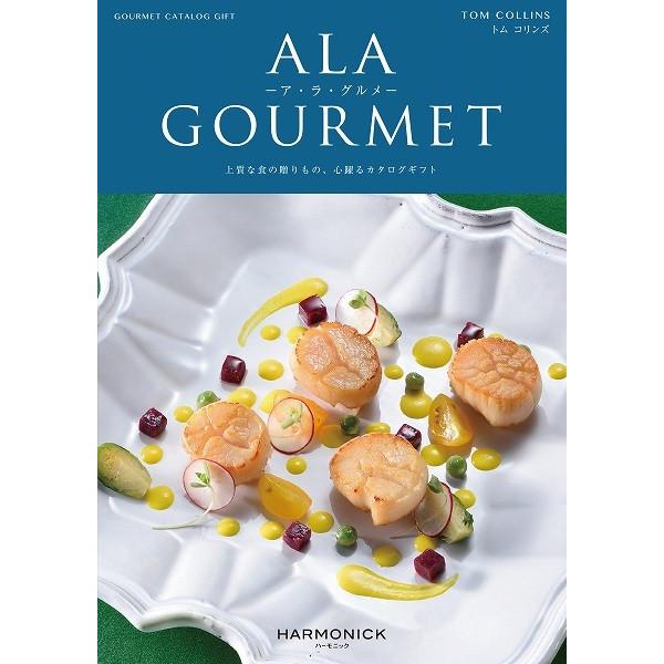 J^OMtg AO 4500~R[X n[jbN AEEO gRY grm301  