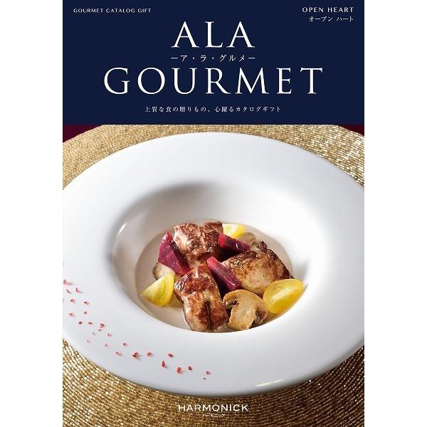 J^OMtg AO  31000~R[X n[jbN AEEO I[vn[g grm309  