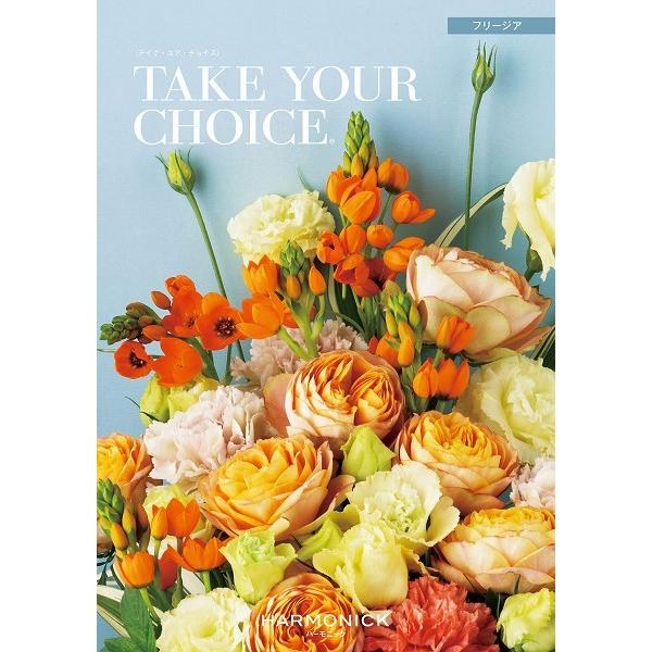 J^OMtg eCNA`CX  2800~R[X n[jbN eCNEAE`CX t[WA tyc009  