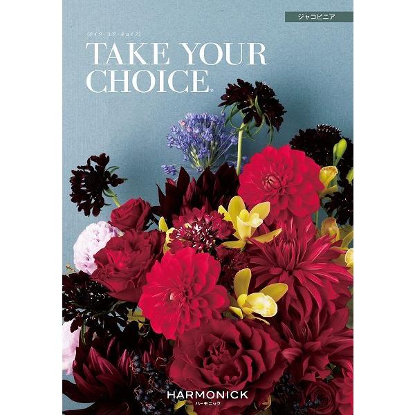 J^OMtg eCNA`CX   50800~R[X n[jbN eCNEAE`CX WRrjA tyc020  