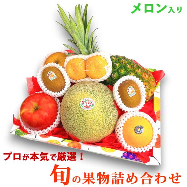 旬の果物詰め合わせ特集【ギフトパークYahoo!店】 旬の果物詰め合わせ特集【ギフトパークYahoo!店】